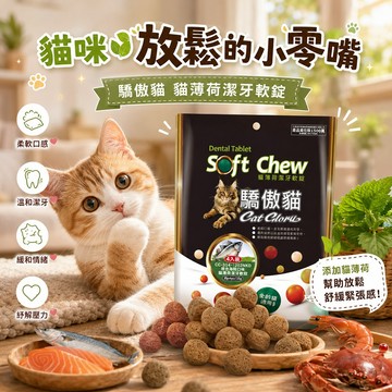 驕傲貓 Cat Glory 貓薄荷潔牙軟錠 6種口味 柔軟好咬 日常潔牙小零嘴 零食獎勵  互動餵食 營養美味 挑嘴貓