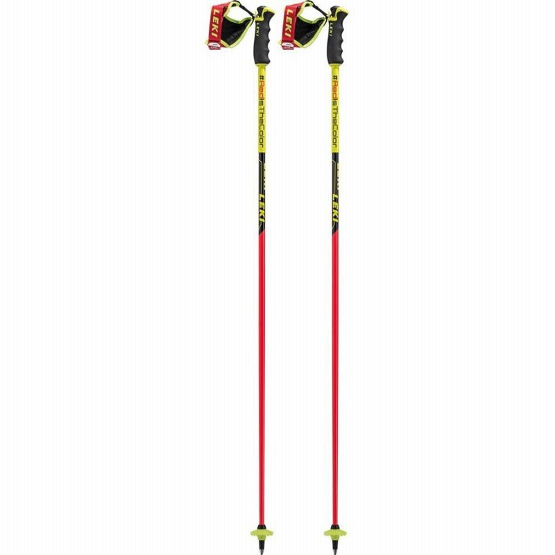 LEKI WC GS ストック 110cm 最安 - スキー