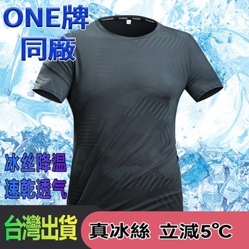 台灣出貨 冰絲衣男 透氣短袖 速乾衣 男生冰絲短袖 涼感短袖 排汗衣 彈力短袖  t恤男 吸濕排汗衫 涼感短T 運動上衣