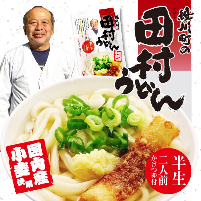 田村うどん 2人前 讃岐うどん かけうどん