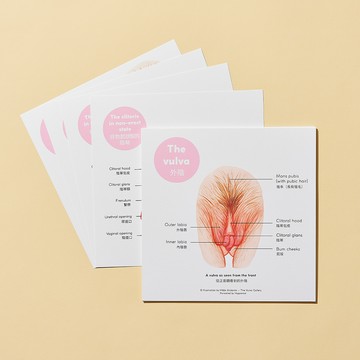 【精選】月經教材｜Internal Anatomy and Reproductive System 生殖系統圖解教學卡｜by Hilde Atalanta｜2023全新中文版｜荷蘭原裝｜正版官方