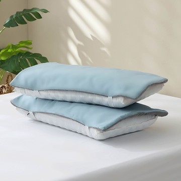 鴻宇 石墨烯能量循環枕墊2入 多款任選