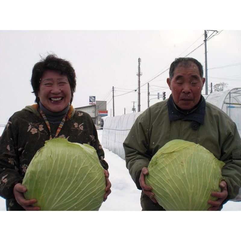 産直旬の野菜セット 新鮮 おまかせ野菜