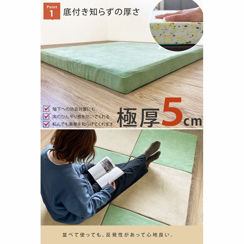ゼニス新作モデル ZABURUG専用カバー（座布団カバー）2枚組 結びつい その他