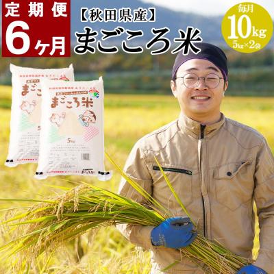 ふるさと納税 大館市 秋田県特別栽培米あきたこまち「まごころ米」10kg