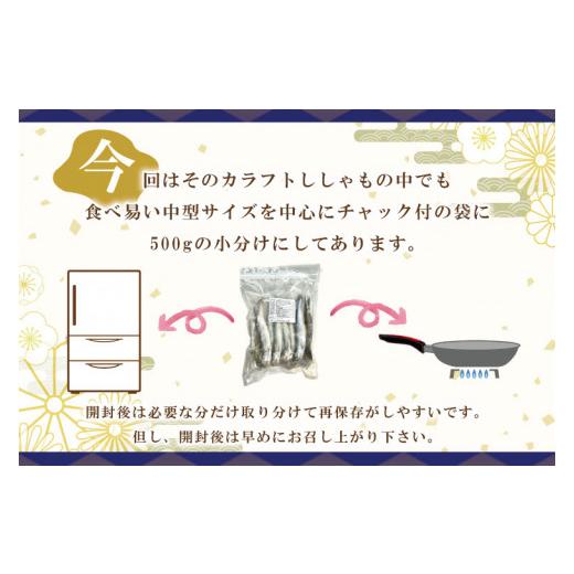 ふるさと納税 茨城県 大洗町 子持カラフトししゃも 2kg （ 500g × 4袋 ） 子持ち カラフトししゃも シシャモ 大洗 魚 魚介