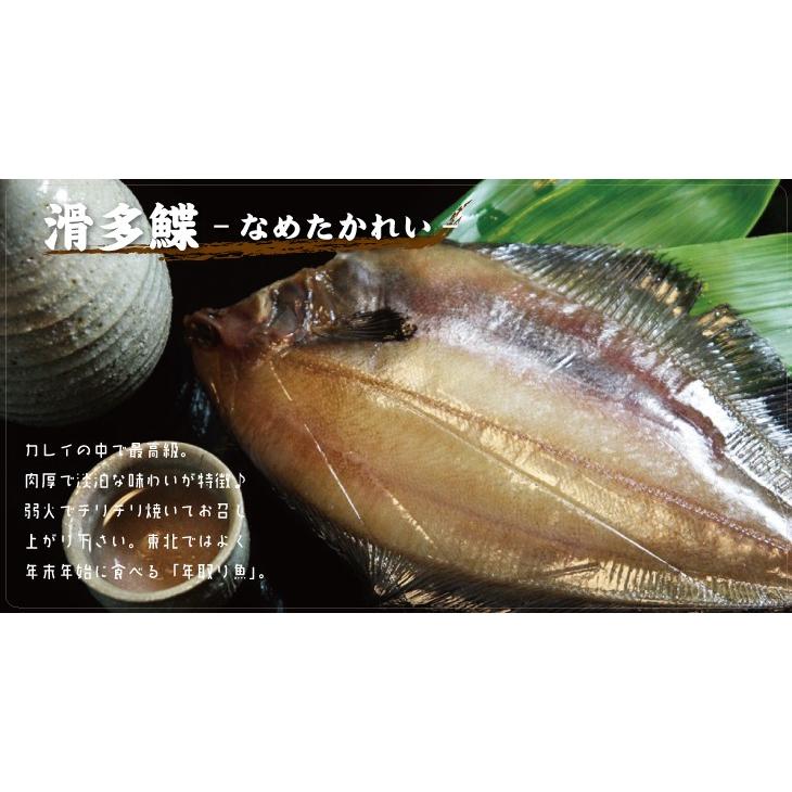 干物 一夜干し 詰合せ 送料無料 ギフト 贈り物 真空 海産物 北の魚 一夜干し セット