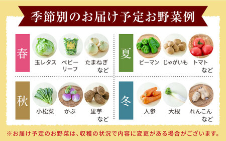 有機野菜 12種セット 詰め合わせ 野菜詰め合わせ 熊本県産有機野菜 山都町産有機野菜 産地直送 高原野菜 新鮮有機野菜 採れたて有機野菜 旬 有機野菜セット 有機野菜食べ比べ 九州産有機野菜 有機野菜 オーガニック[YAF005]