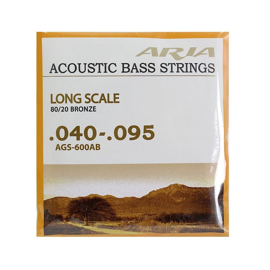 ARIA アリア Acoustic Bass アコースティックベース弦 20ブロンズ AGS-600AB