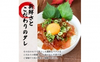 これが魚屋の漬け丼だ！～マグロ～ 《訳あり》 ８０ｇ×１０P まぐろ マグロ 鮪 漬け丼 漬け どんぶり 丼 10パック 海鮮 魚 真空パック 個食 個包装 冷凍 配送 訳あり 規格外 不揃い