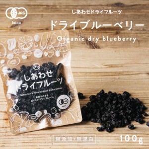 ドライブルーベリー 100g×2個セット (アメリカ産 無添加) 有機JAS認定 オーガニック 爽やかな酸味と豊富なアントシアニンが特徴 お試し