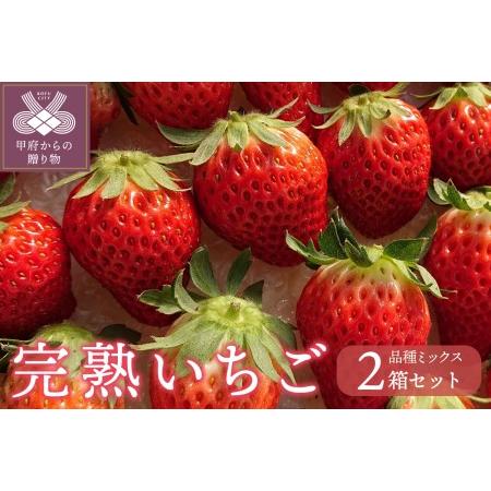 ふるさと納税 いちご (品種ミックス) 山梨県甲府市