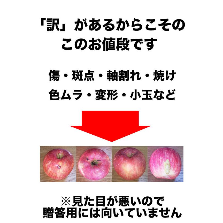 りんご 10kg箱 訳あり 青森県産 弘前 ふじ 9kg以上 家庭用 お試し サイズお任せ apple020-hf010 SDGS ご家族 家庭向けお歳暮ギフト クリスマスの食卓に 送料無料