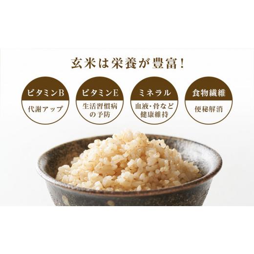 ふるさと納税 北海道 知内町 ★金賞農家★が作る「ふっくりんこ（玄米）」10kg《杉本農園》