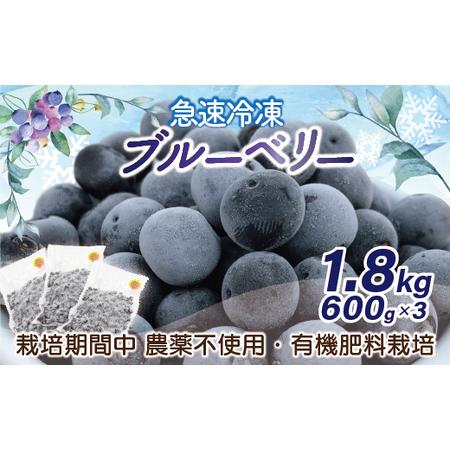 ふるさと納税 急速冷凍！栽培期間中無農薬ブルーベリー600g×3パック　計1.8kg[E2296a] 福岡県福津市