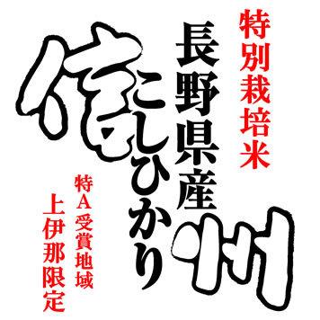 特別栽培米 新米 米10kg コシヒカリ 長野県上伊那産 特別栽培米 「特A」受賞 令和5年産