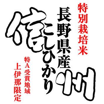 特別栽培米 新米 米10kg コシヒカリ 長野県上伊那産 特別栽培米 「特A」受賞 令和5年産 