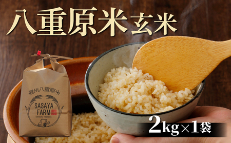 八重原米2kg（2kg×1袋）玄米