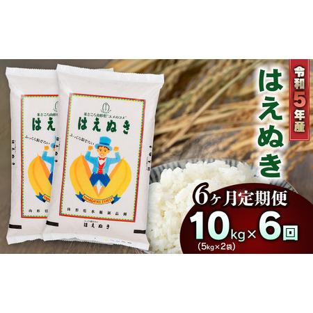 ふるさと納税 新米 山形県庄内産 はえぬき10kg（5kg×2） 鶴岡米穀商業協同組合 山形県鶴岡市