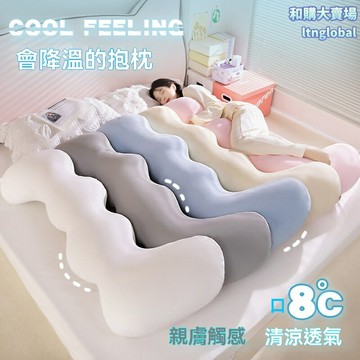 【涼感助眠】冰絲抱枕 夾腿枕 靠枕 空調被 涼感面料 透氣親膚 可拆洗設計 側睡午休 女生宿舍辦公室必備
