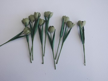 紙花，10 件，桌飾用小型鬱金香（含葉），深綠色。