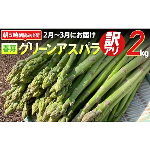 ふるさと納税 福岡県 大木町   朝採り直送　春芽グリーンアスパラガス（訳あり品２Ｌ〜Sサイズ）２kg　BT04