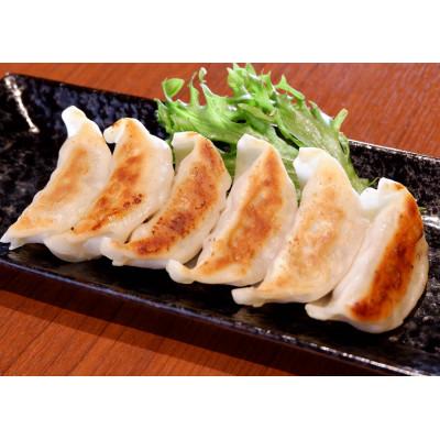 ふるさと納税 大津町 あか牛ぎょうざセット(あか牛餃子20個入り×2箱)(大津町)