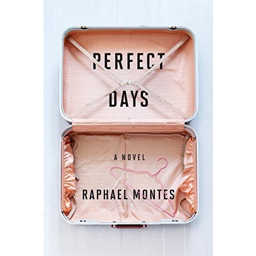 Perfect Days: A Novel