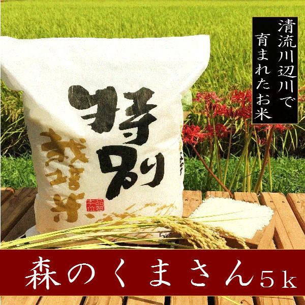 令和5年産新米　森のくまさん 5kg 熊本県産 特別栽培米 　精白米