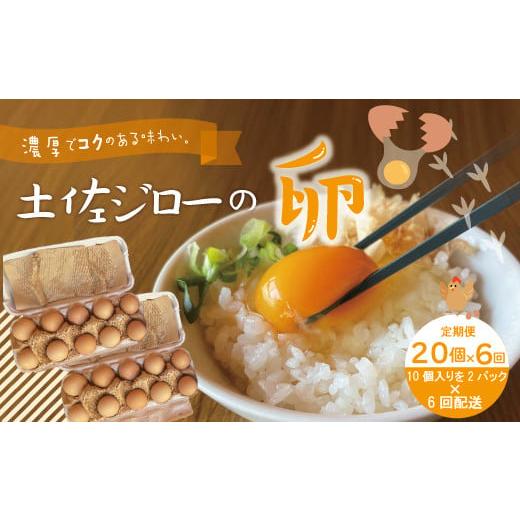 ふるさと納税 高知県 四万十市 21-1014．濃厚でコクのある味わい！のびのび育った土佐ジローの自然卵20個（10個入り×2パック）