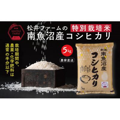 ふるさと納税 南魚沼市 南魚沼産コシヒカリ〜特別栽培米〜5kg全3回