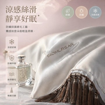 台灣出貨✨ 水洗冰絲枕套 夏季透氣涼感枕套 防頭油親膚枕套 48x74cm單人枕套 宿舍家用枕套