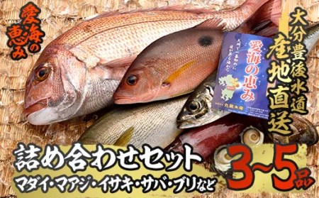 天然 鮮魚詰め合わせ (合計約2.8-3.2kg・3種以上) 直送 産直 漁師 魚 鮮魚 天然 マダイ 鯛 マアジ 鯵 イサキ サバ 鯖 ブリ 鰤 獲れたて 刺身 煮つけ 塩焼き 冷蔵 豊後水道 鮮魚