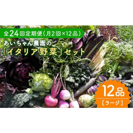 ふるさと納税 あいちゃん農園の「イタリア野菜」セット（ラージ） 野菜 やさい サラダ キャベツ ブロッコリー かぶ.. 佐賀県吉野ヶ里町