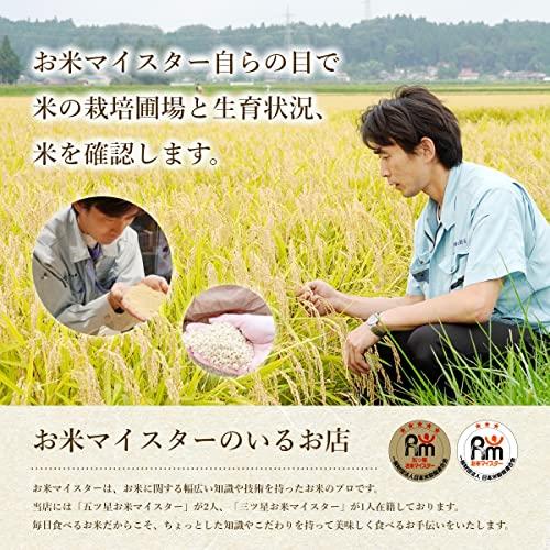 無洗米 米 お米マイスター推奨 令和4年 岩手県産 つきあかり 5kg (無洗米5kg(5kg×1))