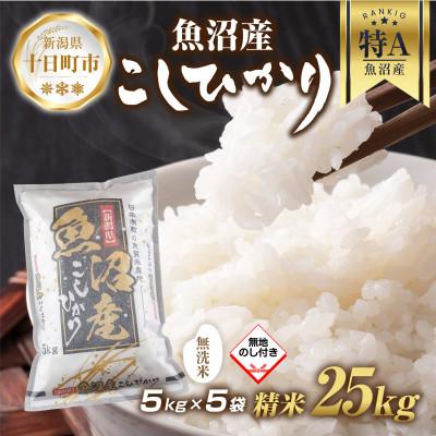 ふるさと納税 十日町市 無洗米 魚沼産 コシヒカリ 5kg×5袋 計25kg (美味しい炊き方ガイド付き)