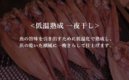 2ヶ月に1度 定期便 全6回 低温熟成 一夜干し お楽しみ 詰め合わせ