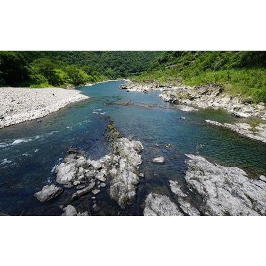 ふるさと納税 高知県 四万十町 四万十うなぎ蒲焼き2本＋極上米2kgのうな重セット Esu-121 冷凍 特大 たれ付き 蒲焼 白焼 国産 鰻 ウナギ うなぎ 蒲焼き 肉厚 …