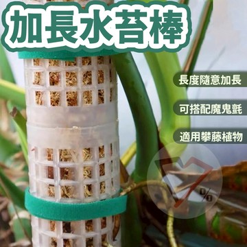 龜背芋水苔棒【現貨速出】水苔棒 水苔柱 蛇木柱 植物加濕棒 植物固定 植物支撐棒 植物攀爬棒 龜背芋支撐 可加長水苔棒