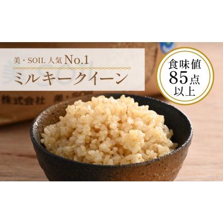 ふるさと納税 《定期便》5kg×6回 30kg 特別栽培米 ミルキークイーン 玄米 低農薬 《食味値85点以上！こだわり極上玄米.. 福井県あわら市