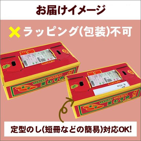 さつまいも なると金時  里むすめ 2L 5kg 自家用 徳島県鳴門市里浦町産 国産 野菜 送料無料