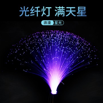 【台灣出貨】光纖燈 小夜燈 唯美浪漫LED 變色 七彩光纖夜燈燈條 條燈 發光光纖燈 七彩滿天星變色閃光燈 發光
