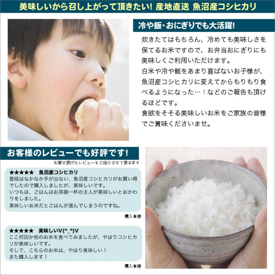 新米 令和5年産 お米 5kg 産直 魚沼コシヒカリ 新潟産 送料無料（北海道、九州、沖縄除く）