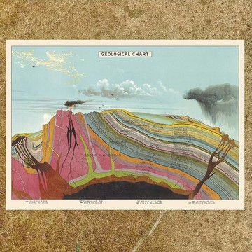 Cavallini & Co.  海報\包裝紙 圖表系列(多款)