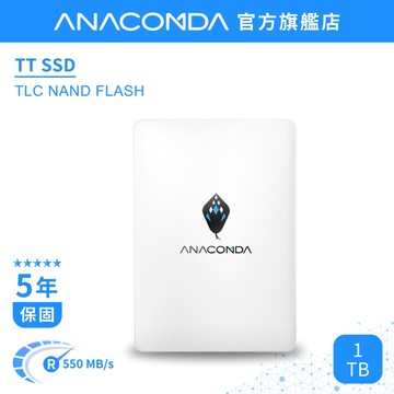 【隔日到貨】巨蟒 SSD 1TB SATA III 內接式 固態硬碟｜TT