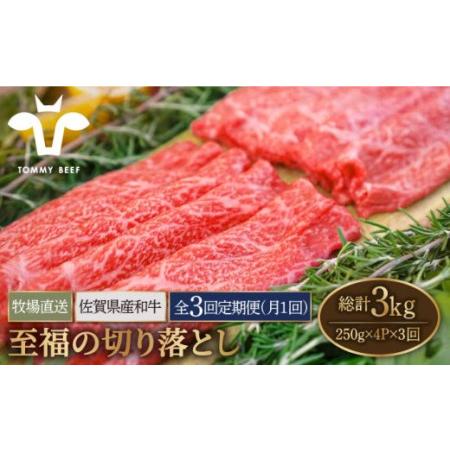 ふるさと納税 佐賀県産和牛 至福の切り落とし 1kg（250g×4パック）[IAH094] 佐賀県白石町