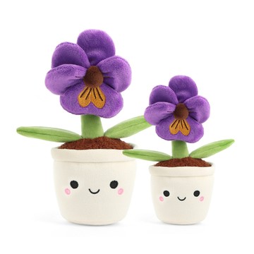 Keeleco Botanical Garden Pansy Plant 三色堇