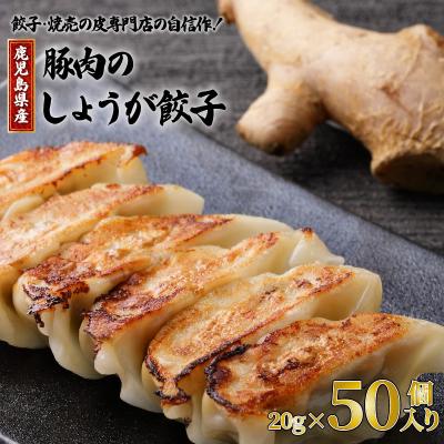 ふるさと納税 鹿児島市 餃子・焼売の皮専門店の自信作!鹿児島県産豚肉のしょうが餃子