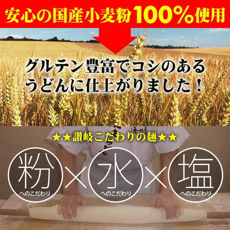 約2分30秒で出来上がり 讃岐 カレーうどん 24人前スープ付き  こしのある！ ゆで ソフト麺  長期保存