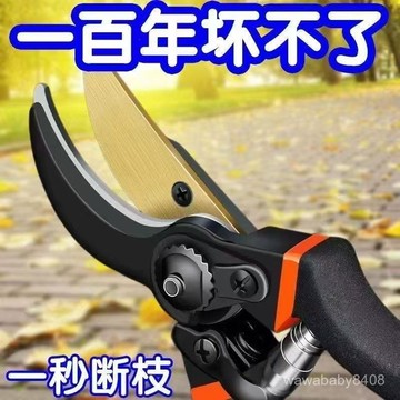 🔥臺灣爆火🔥德國工藝進口鋼枝剪剪樹剪子果樹剪修枝剪刀家用花木葡萄修剪樹枝 H7NQ